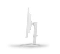 NEC MultiSync EA242F 60,5 cm (23.8") 1920 x 1080 pixels Full HD LED Blanc