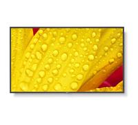 NEC MultiSync M431-2 - 43" - M Series écran LCD rétro-éclairé par LED - signalisation numérique - avec lecteur multimédia intégré / capacité PC à...