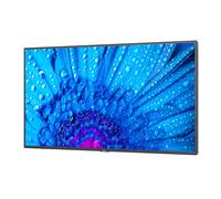 NEC MultiSync M431 43" Display