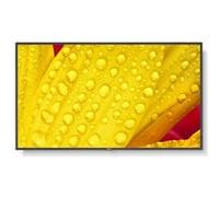 NEC MultiSync M501-2 - Display 50"