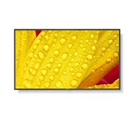 NEC MultiSync M501-2 - Classe de diagonale 50" (49.5" visualisable) - M Series écran LCD rétro-éclairé par LED - signalisation numérique - avec lecteur multimédia intégré / capacité PC à insertion opt