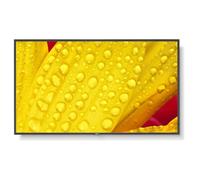 NEC MultiSync M551-2 - 55" - M Series écran LCD rétro-éclairé par LED - signalisation numérique - avec lecteur multimédia intégré / capacité PC à...