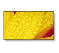 NEC MultiSync M551-2 e diagonale 55" (54.5" visualisable) - M Series écran LCD rétro-éclairé par LED - signalisation numérique - avec lecteur multimédia intégré / capacité PC à insertion opt