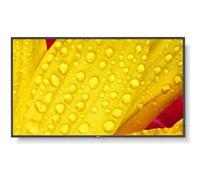 NEC MultiSync M651-2 - Classe de diagonale 65" (65" visualisable) - M Series écran LCD rétro-éclairé par LED - signalisation numérique - avec lecteur multimédia intégré / capacité PC à insertion optio