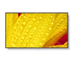NEC MultiSync M651-2 - Display 65"