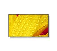 NEC MultiSync M651-2 - Classe de diagonale 65" (65" visualisable) - M Series écran LCD rétro-éclairé par LED - signalisation numérique - avec lecteur multimédia intégré / capacité PC à insertion optio