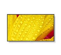 NEC MultiSync ME501 ME Series - 50" écran LCD rétro-éclairé par LED - 4K - pour signalisation numérique
