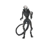 NECA Xenomorph Alien Romulus Figurine d'action 18 cm