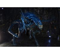 Aliens figurine Ultra Deluxe Alien Queen 38 cm