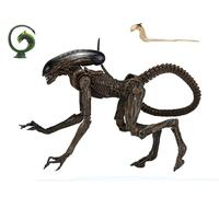 NECA Figurine d'action Alien 3 Dog Alien Ultimate 7IN H856645