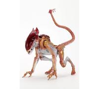 NECA – Figurine d'action Aliens Panther Alien ULT 7" Kenner Tribute