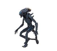 Figurine Alien VS Predator - Arachnoid Alien 18 cm Blue G