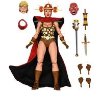 NECA - TMNT Teenage Mutant Ninja Turtles Mirage Comics Renet 7 Action Figure, 83832, Multicolore