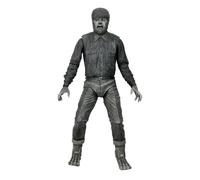 NECA - Universal Monsters Ultimate Wolf Man B&W 7 Action Figure, Blanc