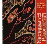 Necessary and The Possible