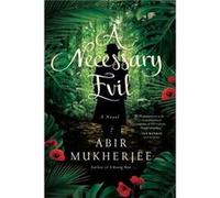 Necessary Evil by Abir Mukherjee Abir Mukherjee (Auteur)