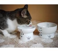 Necoichi Ensemble de gamelles surélevées pour Chat (Chat)