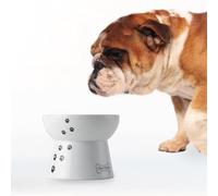 Necoichi Gamelle surélevée pour Chien 0,47 kg