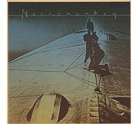 Necromonkey - (Black) a Glimpse of Possible Endings