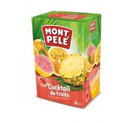 Nectar cocktail de fruits bib 5l Mont Pelé