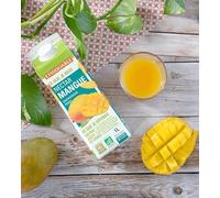 Nectar de Mangue bio & équitable