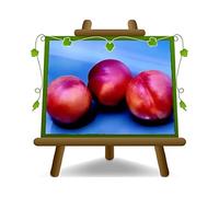 Nectarines à chair jaune Venus - Plante fruitière porte greffe franc sur pot 20 - arbre max 170 cm - 2 ans