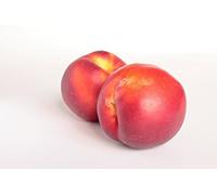 Nectarines blanches gros fruits 10 pièces