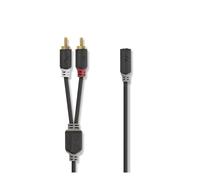 Câble audio stéréo 2x rca mâles - 3,5 mm femelle 0,2 m anthracite