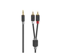 Nedis Câble Audio Jack 3.5mm Mâle vers Double RCA Mâle 3m Gris anthracite