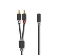 Câble audio stéréo 2x rca mâles - 3,5 mm femelle 0,2 m anthracite