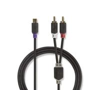 Nedis CABW24020AT02 câble audio 0,2 m 2 x RCA RCA Anthracite