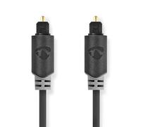 Câble audio optique toslink mâle - toslink mâle 1,0 m anthracite