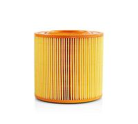 Filtre de Remplacement pour Aspirateur Nedis VCFI210ALL Orange / Jaune G