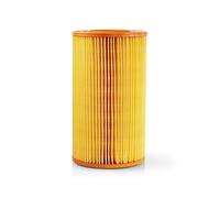 Nedis Vcfi211All Filtre universel pour moteur d'aspirateur Allaway