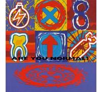 Ned's Atomic Dustbin - are You Normal