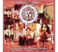 Ned'S Atomic Dustbin - Terminally Groovy: The Singles