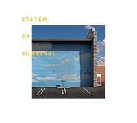 Needle & Thread [Import Allemand]