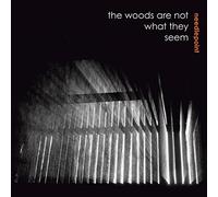 Needlepoint - The Woods Are Not What They Seem