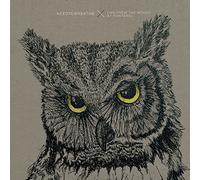 Needtobreathe - Live from the Woods