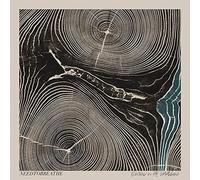 Needtobreathe - Rivers in the Wasteland