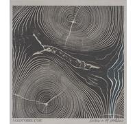 Needtobreathe – Rivers in the Wasteland – Vinyle – Import