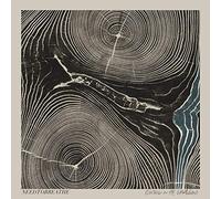 Needtobreathe - Rivers In The Wasteland Vinyl LP