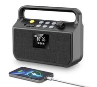 NEEMOSI Radio Bluetooth 20 000 mAh avec fonction de charge mobile, radio DAB FM avec carte TF, entrée auxiliaire, écran TFT