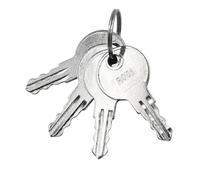 Neeseelily Lot de 4 clés R001 R001 pour camping-car 230012 compatibles avec clé R001 Southco RV R001, clé R001, serrure à bagages R001