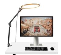 NEEWER BASICS 10,5" Key Light Streaming, Ring Light Anneau Lumineux Panneau LED Plein écran,3000-6500K,15W,avec Bras Articulé,Support de Bureau & Minuterie,pour Ordinateur Portable,Zoom Maquillage,R10