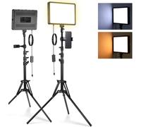 NEEWER BASICS Kit d'Lampe Photo, 2 Panneau LED, Bicolore 2700-6500K, Intensité Variable, avec 2 Trépieds de 59 pouces et 2 Supports de Téléphone,850lux pour Vidéo Photographie Tournage Streaming,BP300