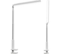 NEEWER ENTRY LEVEL VERSION 5W Lampe LED de Bureau,62'',Pliable,Bicolore,Rechargeable, éclairage d'Appoint Selfie,CRI 85,avec Support à Pince Batterie 3600mAh pour Streaming Vidéo TikTok YouTube,N45