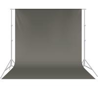 NEEWER Toile de Fond Grise 10x12ft/3x3.6m Photo Studio pliable en polyester de qualité supérieure pour Photographie, Vidéo, Télévision (Grise)
