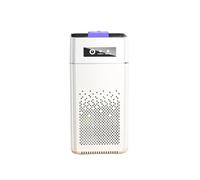 Negative Ion Air Purifier Odor Generator Protable Air Cleaner Household for Car Room Kitchen with Replaceable H.E.P.A Filter(USB Plug in)
