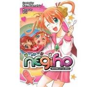 Negiho Ken Akamatsu (Auteur)